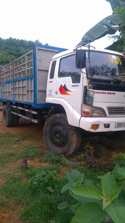 Fuso Xe ben G 2008 - Bán xe Cửu Long 5 - 7 tấn G đời 2008, màu trắng