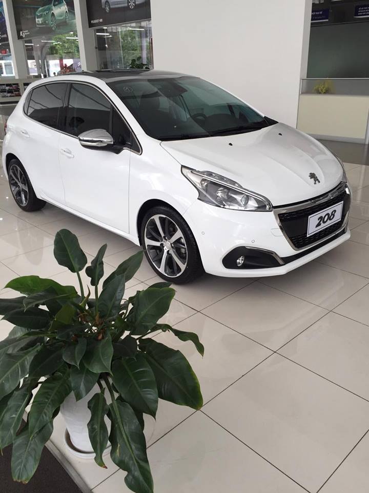 Peugeot 208 2017 - Xe Peugeot 208 nhập khẩu CN Thái Nguyên-LH 0969 693 633