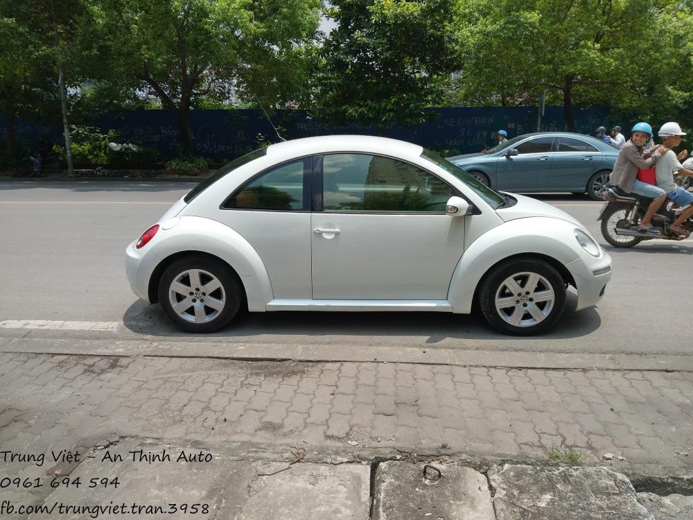 Volkswagen Beetle 2010 - Bán Volkswagen Beetle 2010 1.6AT 
