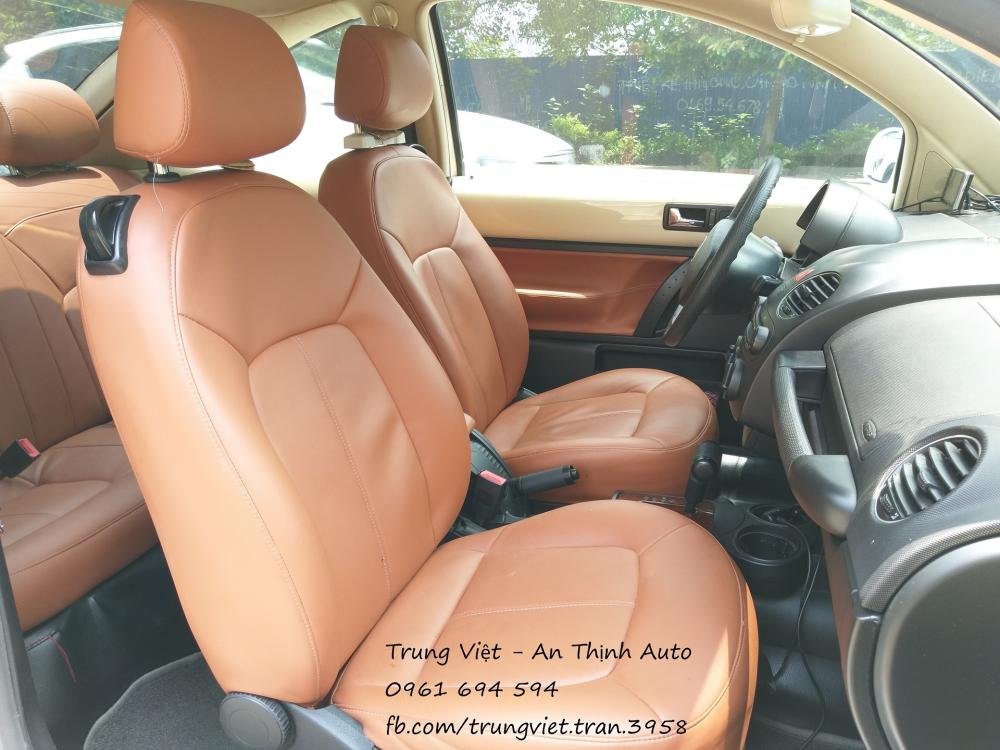 Volkswagen Beetle 2010 - Bán Volkswagen Beetle 2010 1.6AT 