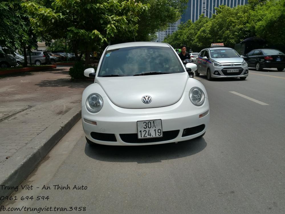 Volkswagen Beetle 2010 - Bán Volkswagen Beetle 2010 1.6AT 