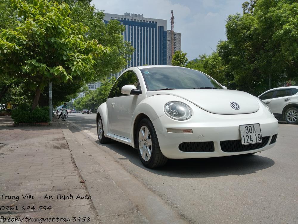 Volkswagen Beetle 2010 - Bán Volkswagen Beetle 2010 1.6AT 