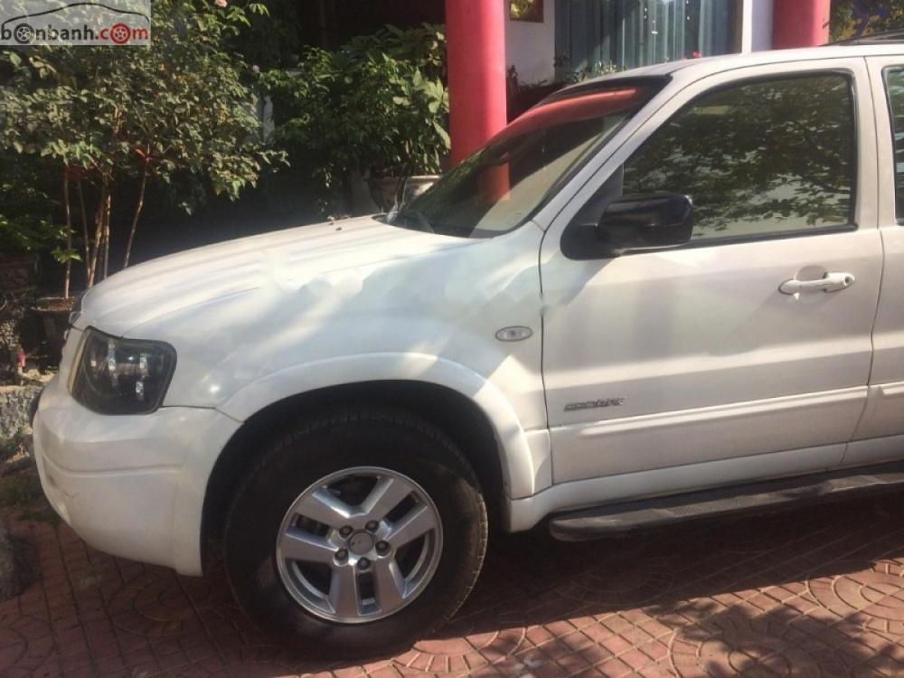 Ford Escape 2008 - Bán Ford Escape sản xuất 2008, màu trắng ít sử dụng