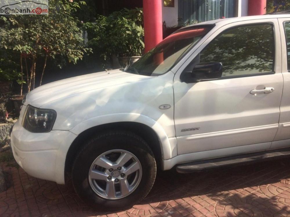 Ford Escape 2008 - Bán Ford Escape sản xuất 2008, màu trắng ít sử dụng