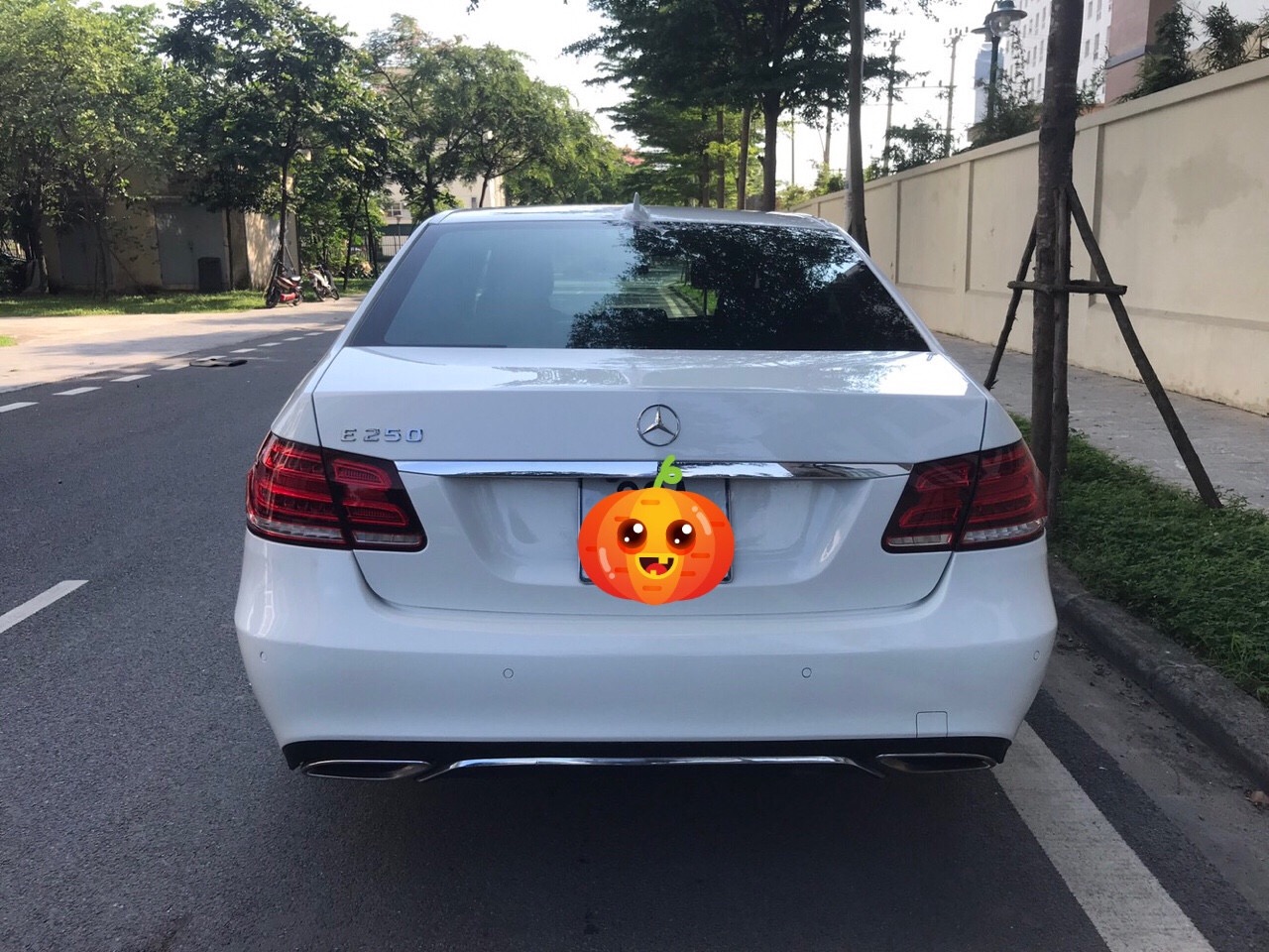 Mercedes-Benz E class E250 2014 - Xe Mercedes E250 2014, màu trắng chính chủ