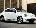 Volkswagen Beetle 1.2L 2016 - Bán xe Volkswagen Beetle 1.2L năm 2016, màu trắng, xe nhập