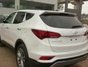 Hyundai Santa Fe 2016 - Bán ô tô Hyundai Santa Fe đời 2016, màu trắng
