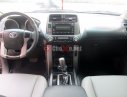Toyota Prado TX-L 2010 - Cần bán lại xe Toyota Prado TX-L đời 2010, màu đen, xe nhập