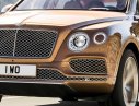 Bentley Bentayga 2016 - Bán ô tô Bentley Bentayga 2016, nhập khẩu nguyên chiếc