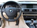 BMW 528i 2010 - Salon Ô Tô 186 cần bán xe BMW 528i, sản xuất năm 2010