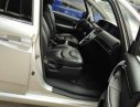Luxgen 7 MPV 2010 - Cần bán Luxgen 7 MPV đời 2010, màu bạc, xe nhập
