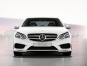 Mercedes-Benz E250 2016 - Bán xe Mercedes E250 đời 2016, có đủ màu, giá ưu đãi, giao xe ngay. CT lái thử xe Mercedes tại Buôn Mê Thuột từ 17-19/5-Liên hệ ĐK ngay 