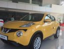 Nissan Juke 2015 - Bán ô tô Nissan Juke đời 2015, màu vàng, xe nhập