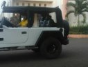Jeep CJ 1986 - Bán Jeep CJ đời 1986, nhập khẩu, giá chỉ 195 triệu