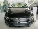 Volkswagen Passat 2016 - Bán Volkswagen Passat đời 2016, màu đen, xe nhập