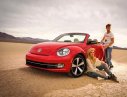 Volkswagen Beetle 1.2 TSI 2016 - Volkswagen Beetle 1.2 TSI đời 2016, màu đỏ, xe nhập - LH Mr. Quyết, đặt xe 0901.941.899
