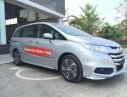 Honda Odyssey 2016 - Honda Odyssey 2016 New xe nhập khẩu, có xe đủ màu - giao xe ngay tại Biên Hoà
