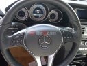Mercedes-Benz E Mrcds-Bnz  250 2014 - Mercedes-Benz E 250 2014