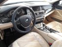 BMW 528i Special 2016 - Giá xe BMW 528i 2016, phiên bản đặc biệt, nhập khẩu từ Đức, mới 100%, nhiều màu tuỳ chọn, giá bán tốt nhất