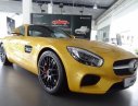 Mercedes-Benz AMG  AT 2016 - Bán Mercedes AMG GT AT đời 2016, màu vàng, nhập khẩu nguyên chiếc