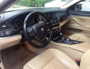 BMW 528i 2010 - Cần bán BMW 528i full option chính hãng EA
