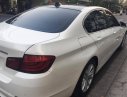 BMW 528i 2010 - Cần bán BMW 528i full option chính hãng EA