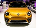 Volkswagen New Beetle 2016 - Cần bán xe Volkswagen New Beetle đời 2016, màu vàng, xe nhập nguyên chiếc. Lh: 0978877754