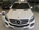 Mercedes-Benz GLE-Class GLE 400 Exclusive 2016 - Mercedes Nha Trang - Bán Mercedes GLE 400 Exclusive - Ưu đãi hấp dẫn - Hotline 0905268177
