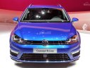 Volkswagen Golf Variant 2014 - Phiên bản châu âu_Bán Volkswagen Golf Variant đời 2014, màu xanh lam, nhập khẩu