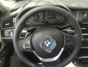 BMW X4 2017 - BMW X4 2017, sang trọng tiện nghi đầy mới mẻ
