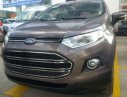 Ford EcoSport 2016 - Bán ô tô Ford EcoSport sản xuất 2016, màu xám