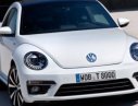 Volkswagen New Beetle 2016 - Đặt xe Volkswagen Beetle 2016- Mr. Hiếu 0938808366