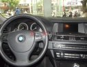 BMW 20i 2014 - BMW 5 520i 2014