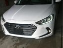 Hyundai Elantra   2016 - Bán Hyundai Elantra đời 2016, màu trắng 