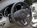 Mercedes-Benz C250   2016 - Cần bán Mercedes C250 đời 2016, nhập khẩu