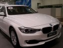 BMW 3 Series 320i 2016 - Bán ô tô BMW 3 Series 320i đời 2016, màu trắng, nhập khẩu chính hãng