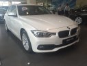 BMW 3 Series 320i 2016 - Bán ô tô BMW 3 Series 320i đời 2016, màu trắng, nhập khẩu chính hãng