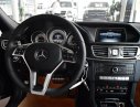 Mercedes-Benz E250 2016 - Bán Mercedes E250 sản xuất 2016, màu đen, nhập khẩu nguyên chiếc
