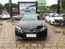 Mercedes-Benz E250 2016 - Cần bán lại xe Mercedes E250 đời 2016, màu đen, xe nhập