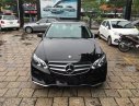 Mercedes-Benz E250 2016 - Cần bán lại xe Mercedes E250 đời 2016, màu đen, xe nhập