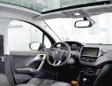 Peugeot 208 Facelift  2016 - Bán Peugeot 208 Facelift năm 2016, nhập khẩu nguyên chiếc