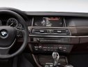 BMW 528i 2016 - Bán ô tô BMW 528i 2016, màu đen