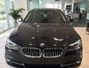 BMW 528i 2016 - Bán ô tô BMW 528i 2016, màu đen