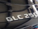 Mercedes-Benz GLC GLC 250 2016 - Bán xe Mercedes GLC 250 đời 2016, màu đen, hỗ trợ vay 80% giá trị xe