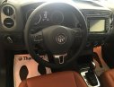 Volkswagen Tiguan   2016 - Bán Volkswagen Tiguan 2.0 TSI nhập Đức, mới 100%