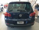 Volkswagen Tiguan 2.0 TSI 4 Motion  2016 - Cần bán xe Volkswagen Tiguan 2.0 năm 2016, màu xanh lam, nhập khẩu