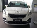 Peugeot 3008 2016 - Peugeot 3008 sản xuất 2016 màu trắng