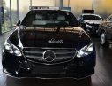 Mercedes-Benz E250 AMG 2016 - Hot Mercedes-Benz E250 AMG xe giao ngay, giảm giá tới 6%, số lượng có hạn
