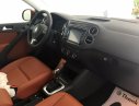 Volkswagen Tiguan   2.0 TSI 2016 - Cần bán Volkswagen Tiguan 2.0 TSI đời 2016, màu đỏ, xe nhập