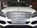 Mercedes-Benz C250  Exclusive 2016 - Bán ô tô Mercedes C250 Exclusive đời 2016, màu trắng, giao ngay, giá giảm cực tốt